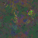 World at epoch 35000
