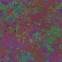 World at epoch 35000