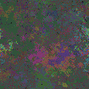 World at epoch 39000