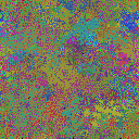 World at epoch 25000