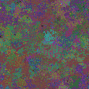 World at epoch 40000