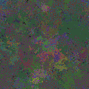 World at epoch 41000