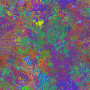 World at epoch 31000