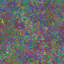 World at epoch 39000