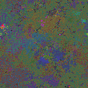 World at epoch 35000