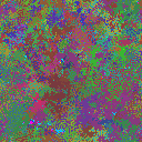 World at epoch 35000