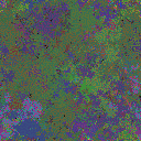 World at epoch 37000