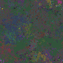 World at epoch 49000