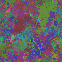 World at epoch 39000