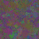 World at epoch 35000