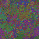World at epoch 37000