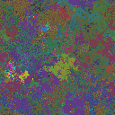 World at epoch 44000