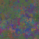 World at epoch 40000