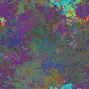 World at epoch 25000