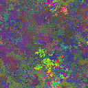 World at epoch 26000