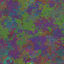 World at epoch 50000