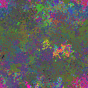 World at epoch 25000