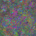 World at epoch 30000