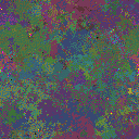 World at epoch 50000