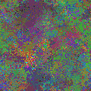 World at epoch 35000