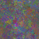 World at epoch 25000