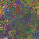 World at epoch 31000