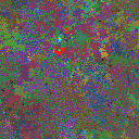 World at epoch 28000