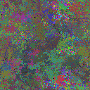 World at epoch 39000