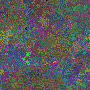 World at epoch 31000