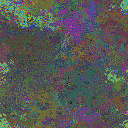 World at epoch 35000