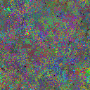 World at epoch 40000