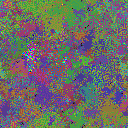 World at epoch 25000