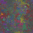 World at epoch 25000