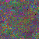 World at epoch 49000