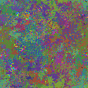 World at epoch 24000