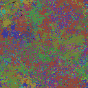 World at epoch 25000