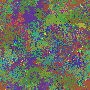World at epoch 25000