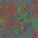 World at epoch 31000