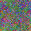 World at epoch 34000