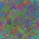 World at epoch 35000