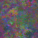 World at epoch 34000