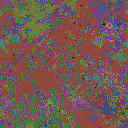World at epoch 37000