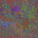 World at epoch 40000