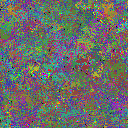 World at epoch 25000