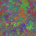 World at epoch 40000