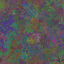 World at epoch 49000
