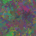 World at epoch 40000