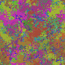 World at epoch 48000