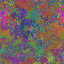World at epoch 49000