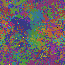 World at epoch 50000